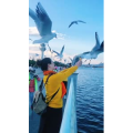 旅行风景5603