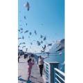 旅行风景5609