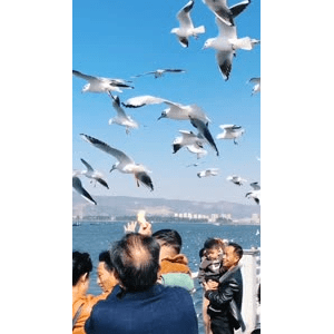 旅行风景5612