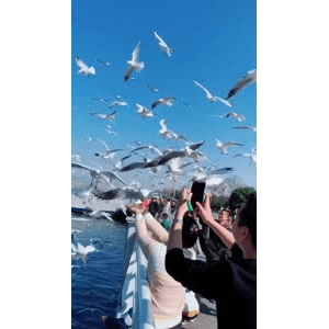旅行风景5619