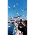 旅行风景5619