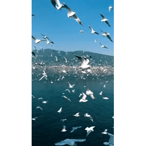 旅行风景5625