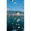 旅行风景5625