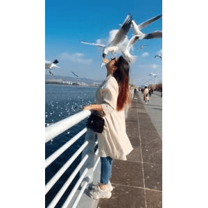 旅行风景5626