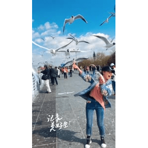 旅行风景5629