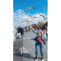 旅行风景5629