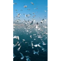 旅行风景5633