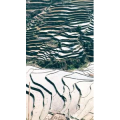 旅行风景5634