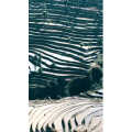 旅行风景5638