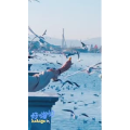 旅行风景5648