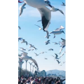 旅行风景5650