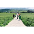 旅行风景5652