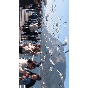 旅行风景5653