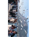 旅行风景5653