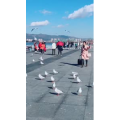 旅行风景5654