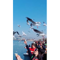 旅行风景5656