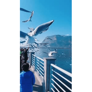 旅行风景5657