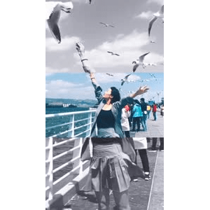 旅行风景5658