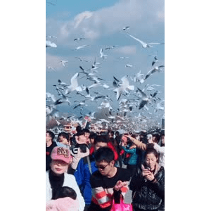 旅行风景5659