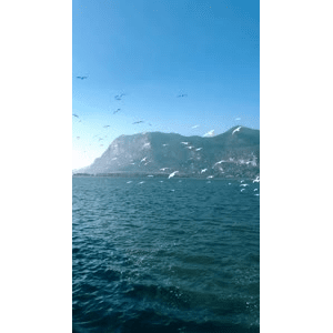 旅行风景5662