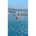 旅行风景5666