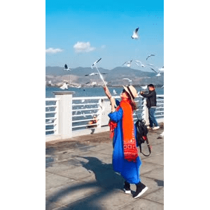 旅行风景5669