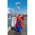 旅行风景5674
