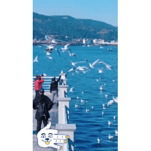 旅行风景5678