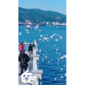 旅行风景5678