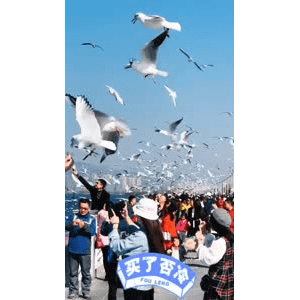 旅行风景5680