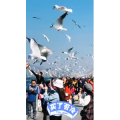 旅行风景5680