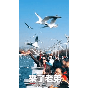 旅行风景5681