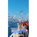 旅行风景5682