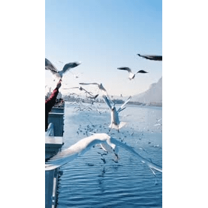 旅行风景5683