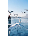 旅行风景5683