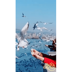 旅行风景5684