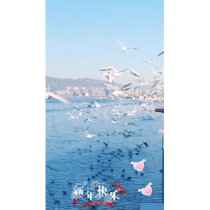 旅行风景5688