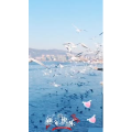 旅行风景5688