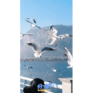 旅行风景5692