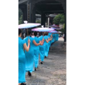 旅行风景5693