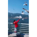 旅行风景5695