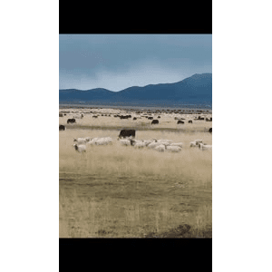 旅行风景5697
