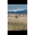旅行风景5697