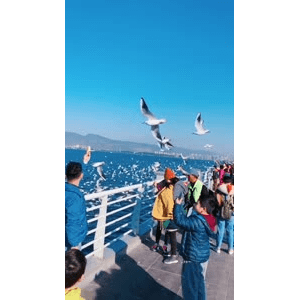 旅行风景5700