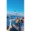 旅行风景5700