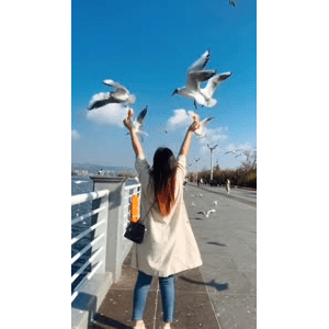 旅行风景5701