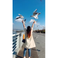 旅行风景5701