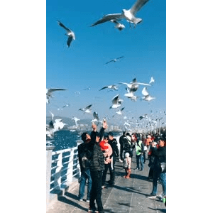 旅行风景5703
