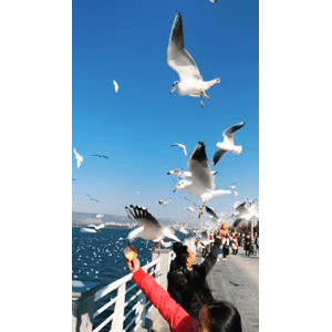 旅行风景5707