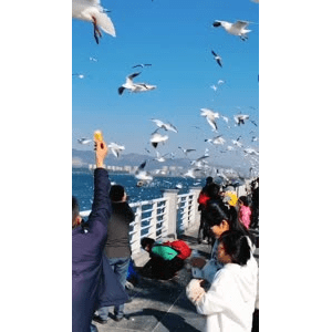 旅行风景5708